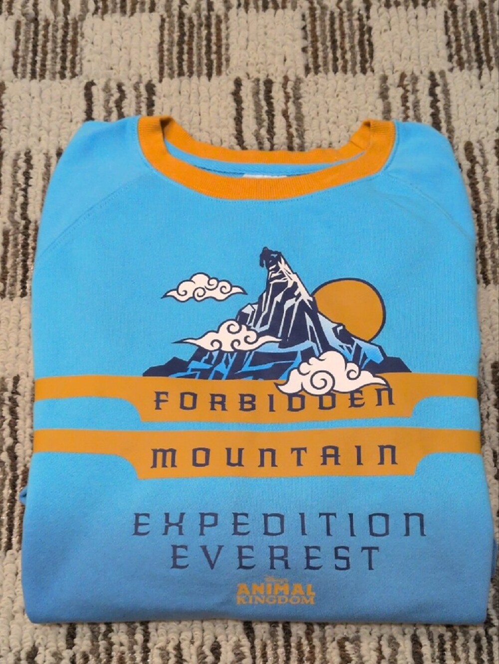 Disney Blue and Gold Forbidden Mountain Expedition Sweatshirt - Picture 12 of 12
